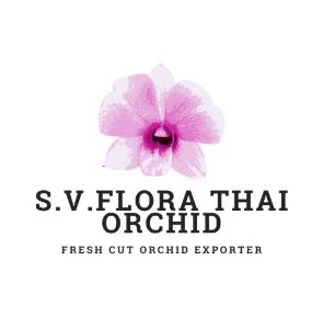 R VN FLORA THAI EXPORT CO.,LTD.